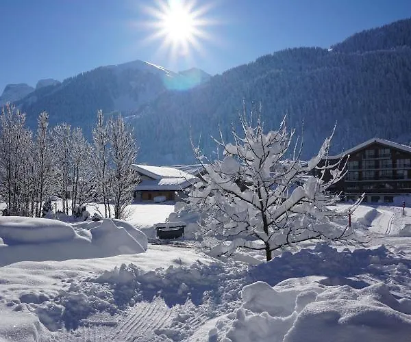 Hausblick Au (Bregenz)